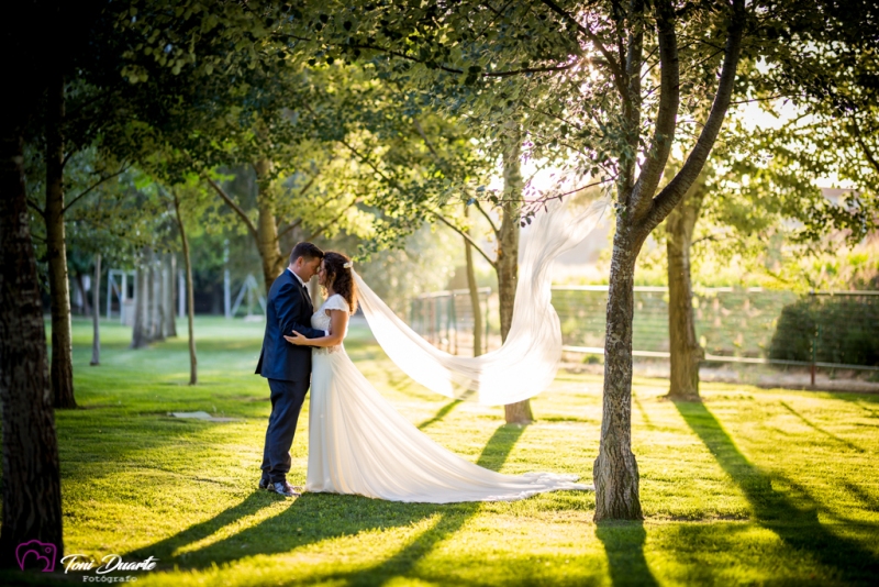 Novios en parque