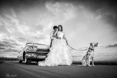 Postboda en la Albufera de Valencia